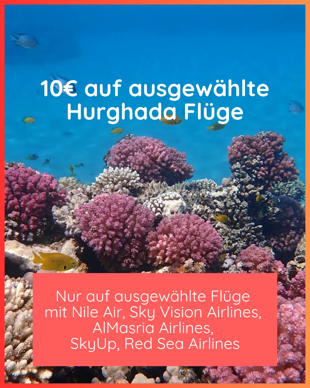 Hurghada - das Paradies für Taucher und Schnorchler