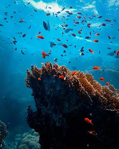 Hurghada - das Paradies für Taucher und Schnorchler
