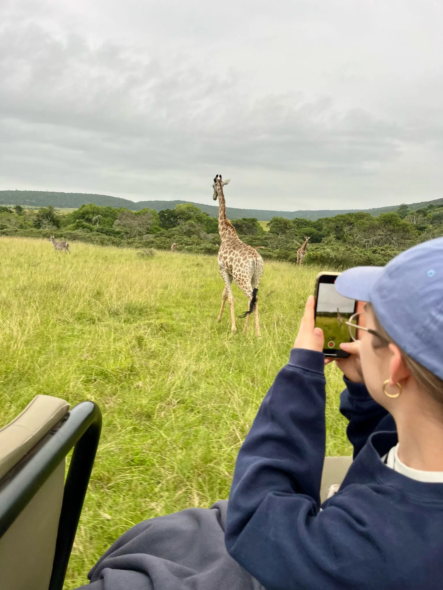 Frau fotografiert eine Giraffe