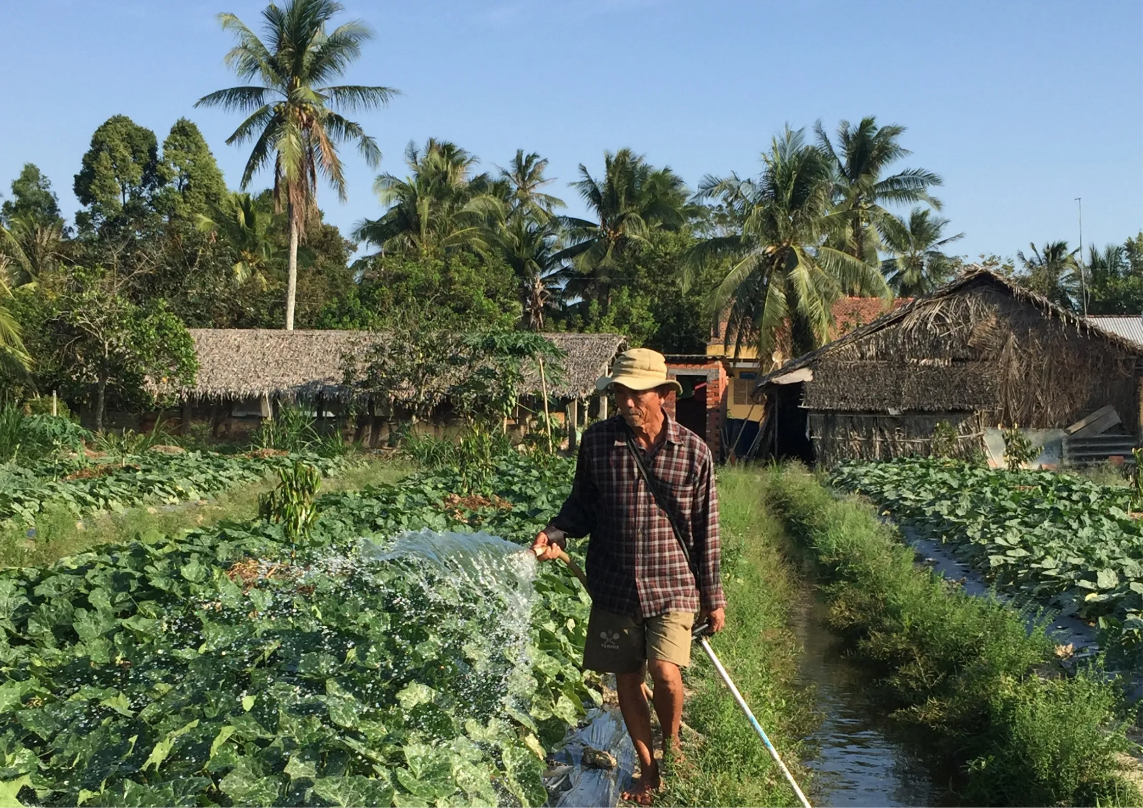 Mann wässert Reisfelder