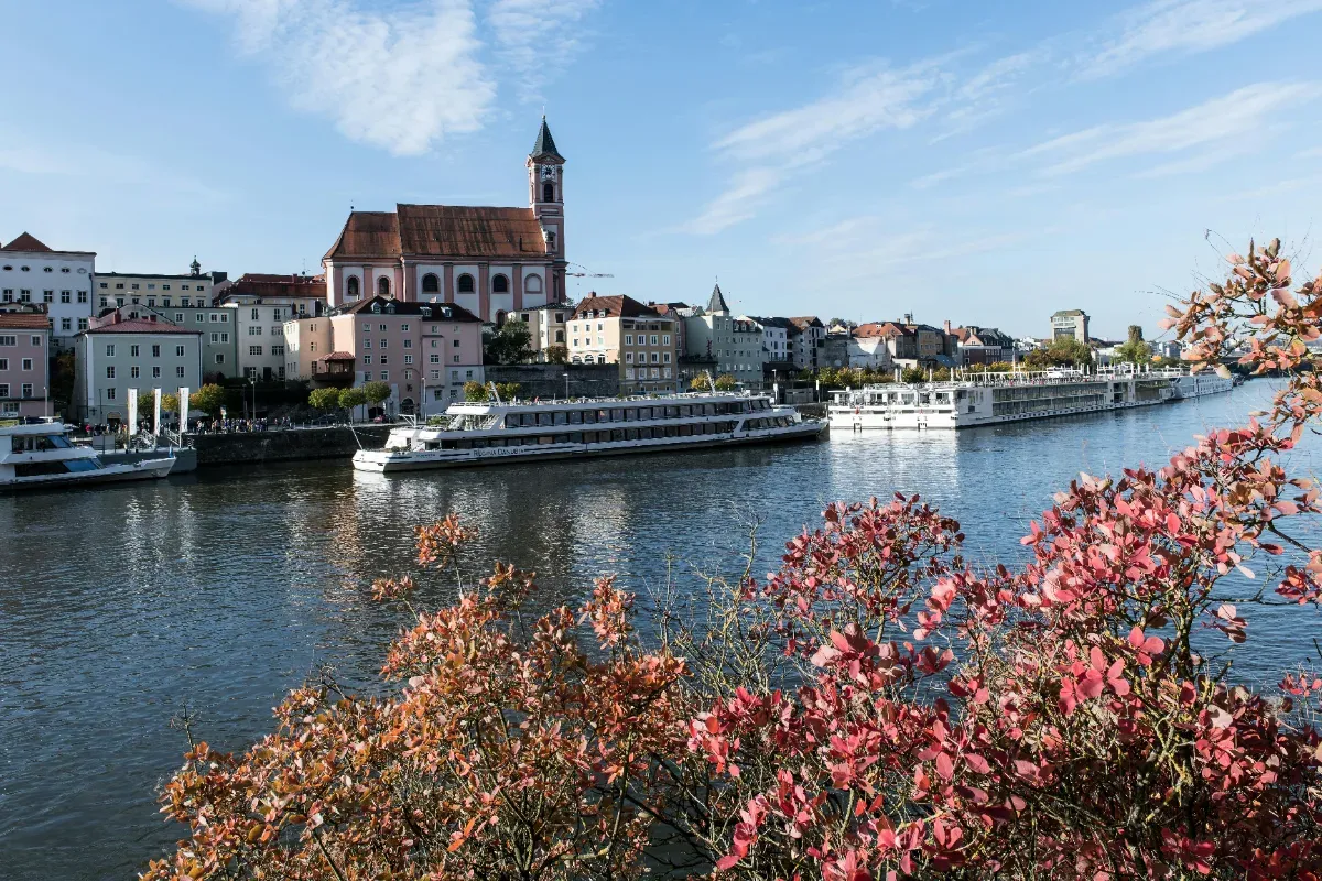 Blick auf die Donau an einem Stadtufer mit einem blühendem Strauch im Vordergrund