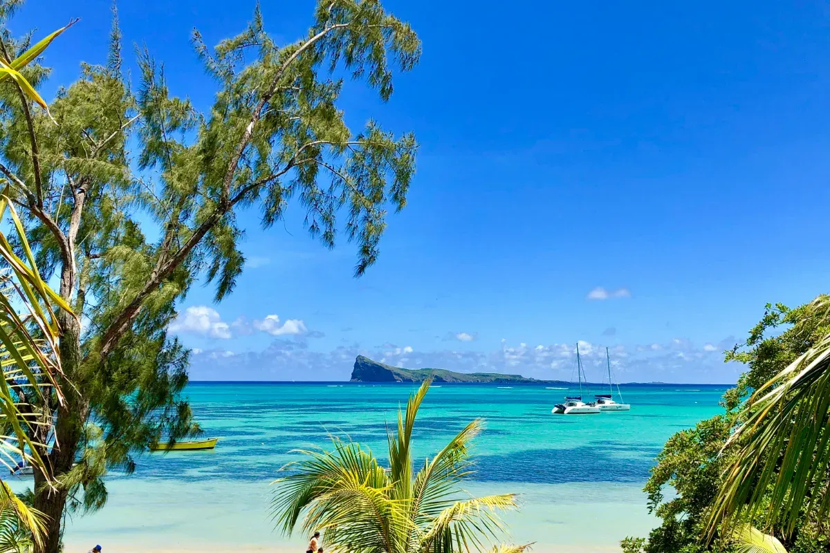 Bettina Zwickler vor einer Straußenfarm