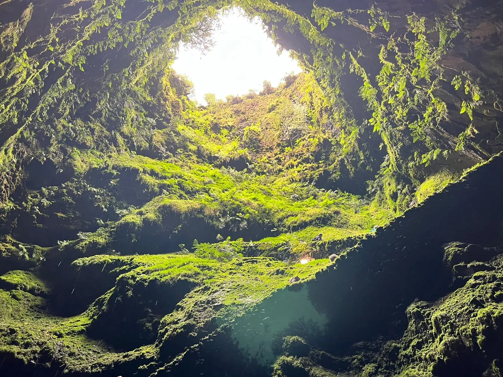 Blick aus einer moosbewachsenen Höhle nach oben auf eine runde Öffnung mit Tageslicht und Pflanzen am Rand.