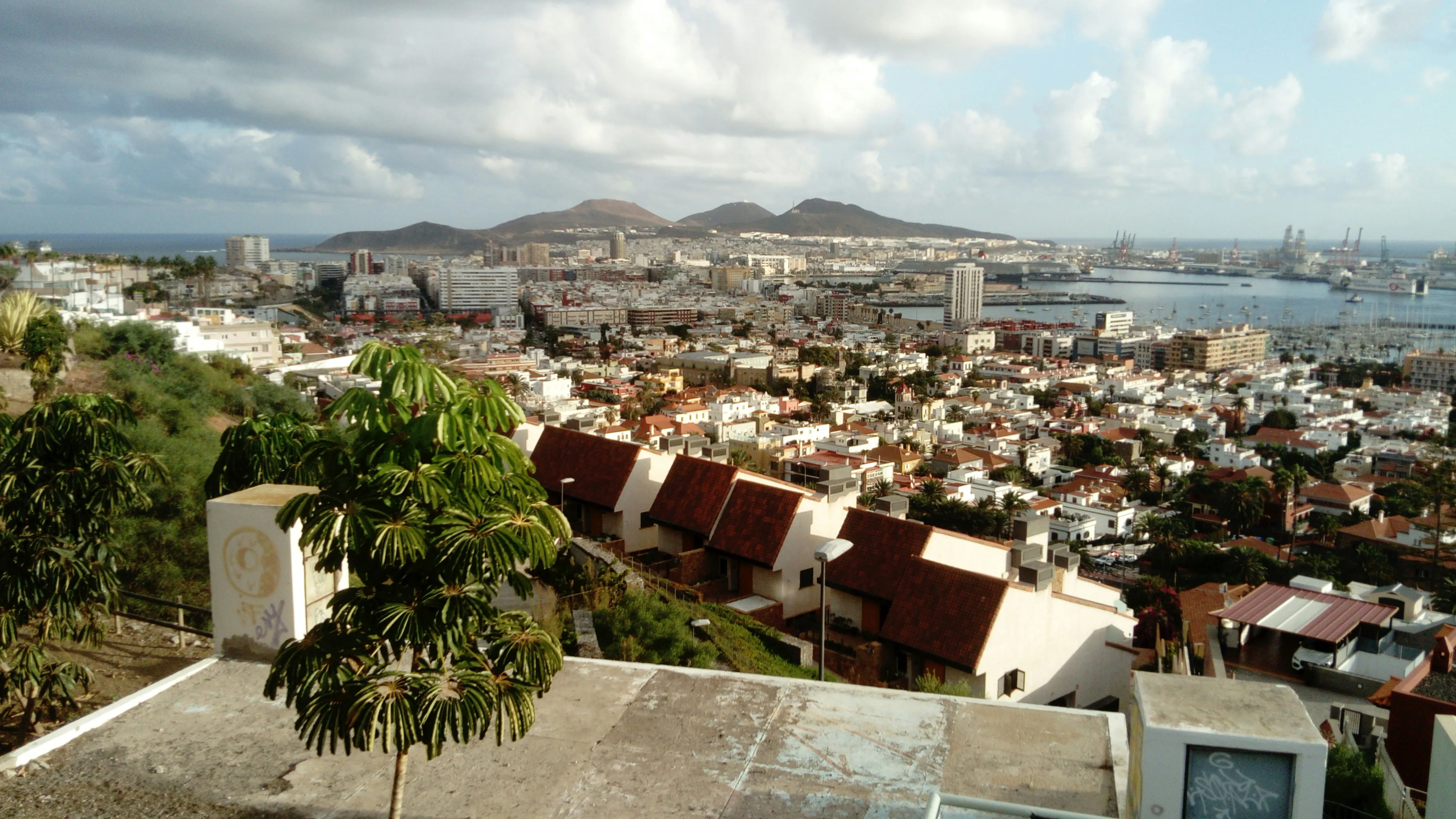 Blick von einem Hügel auf eine Stadt mit vielen Gebäuden, einem Hafen und Bergen im Hintergrund.