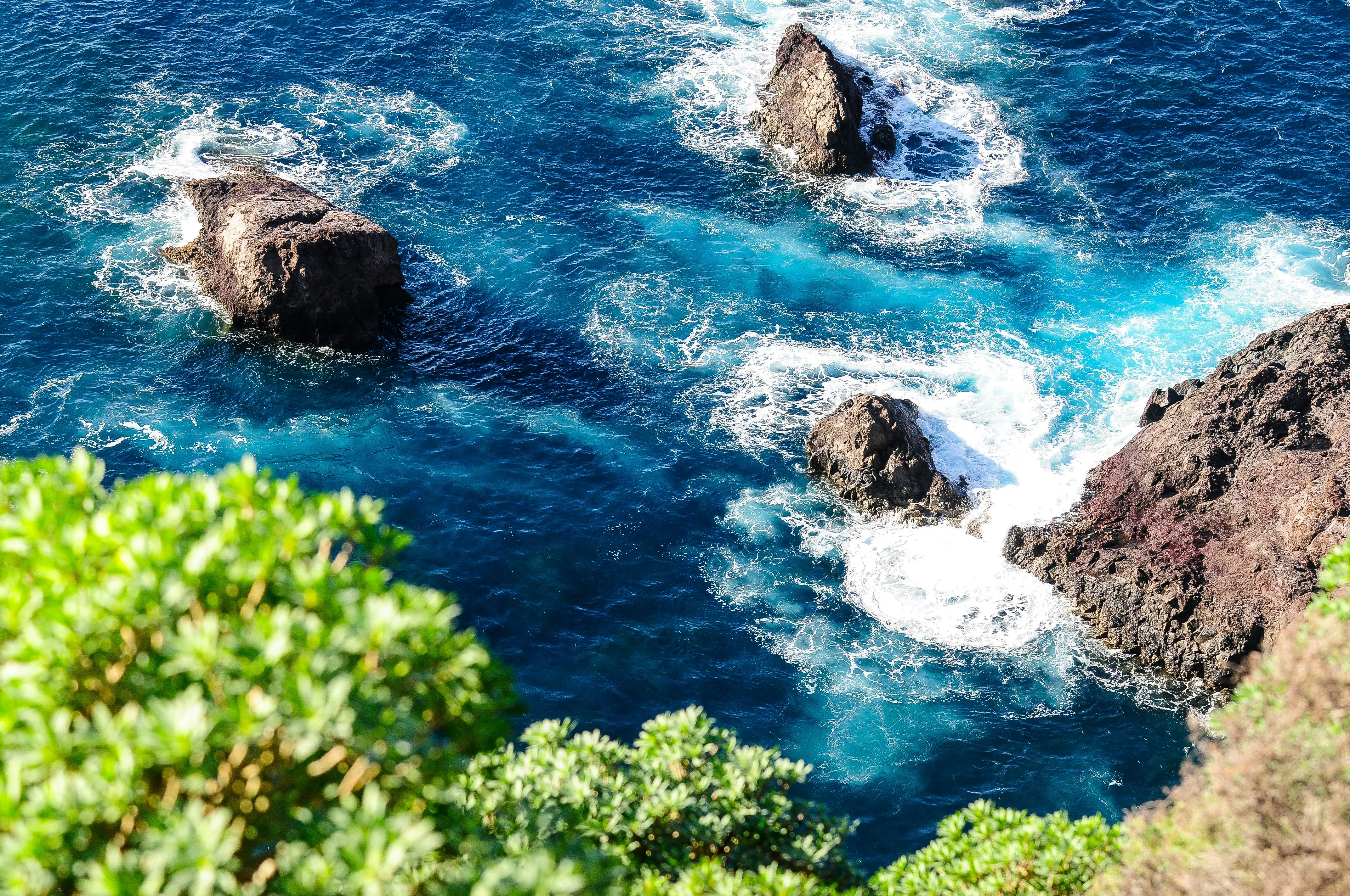 Felsige Küste mit mehreren großen Felsen im türkisblauen Meer und grünen Pflanzen im Vordergrund.