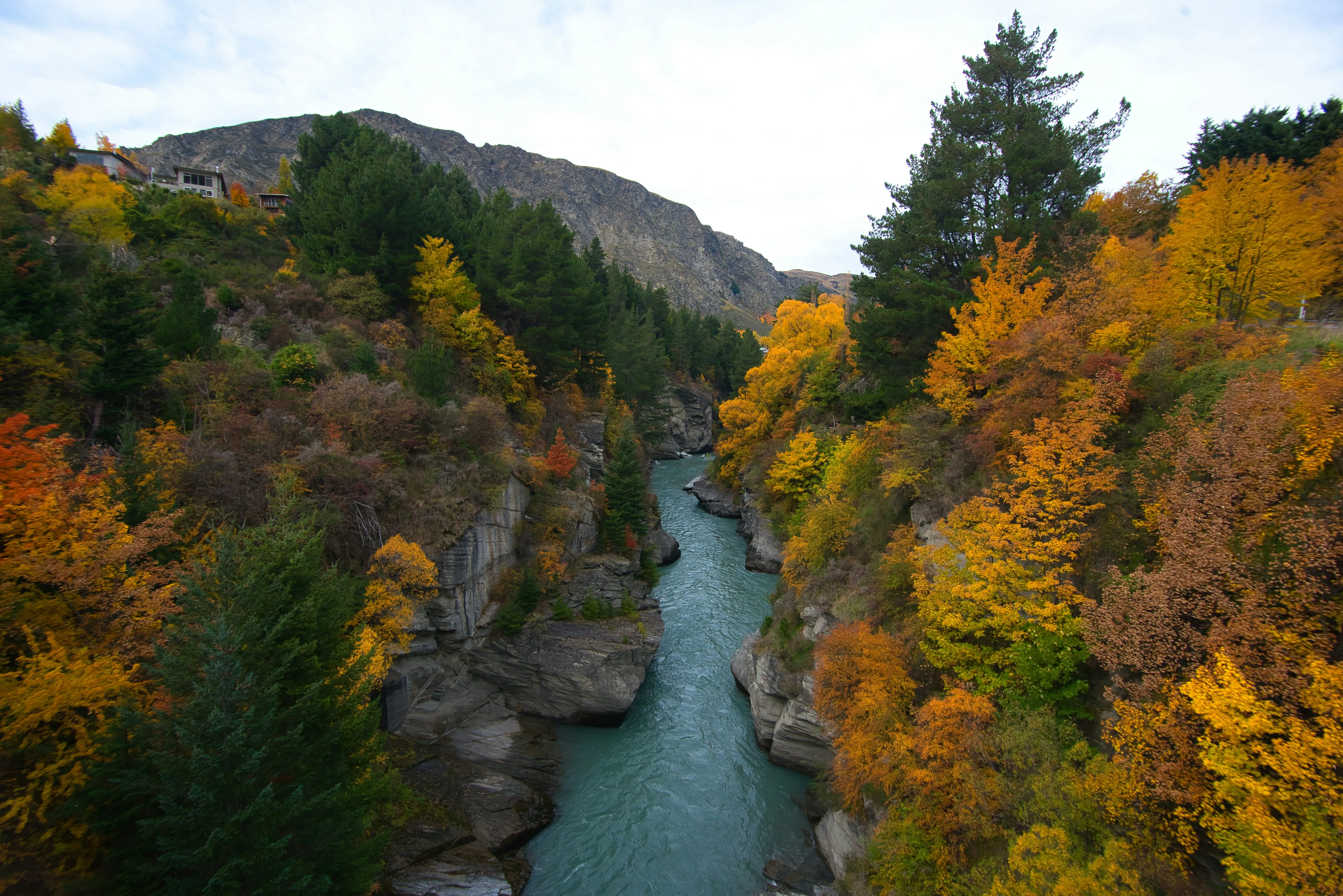 Fluss fließt durch herbstlich gefärbten Fjordland-Nationalpark mit Felsen und bewaldeten Bergen im Hintergrund.