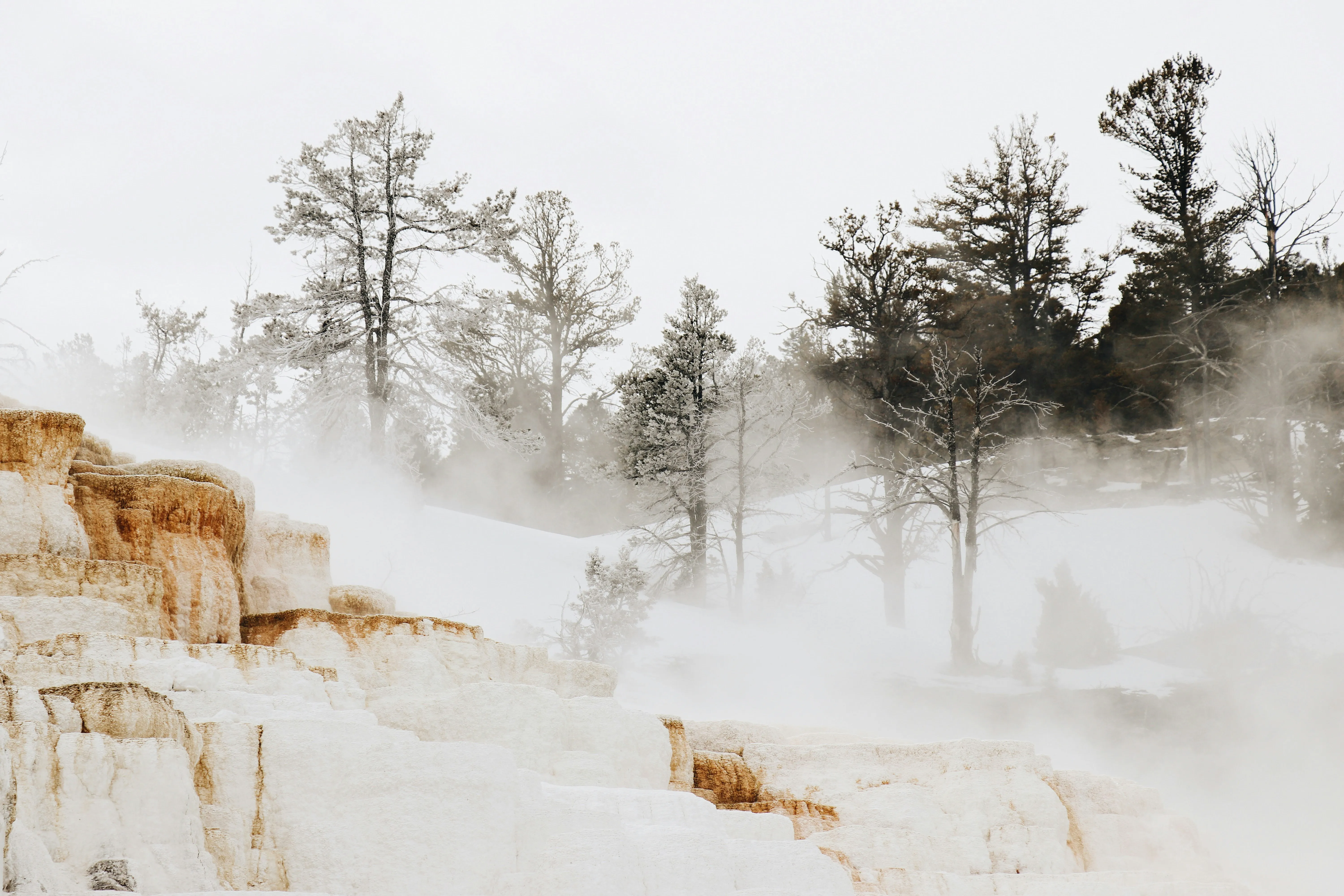 Dampf steigt über terrassenförmigen, weißen Kalksteinformationen mit vereinzelten Bäumen im Hintergrund auf.