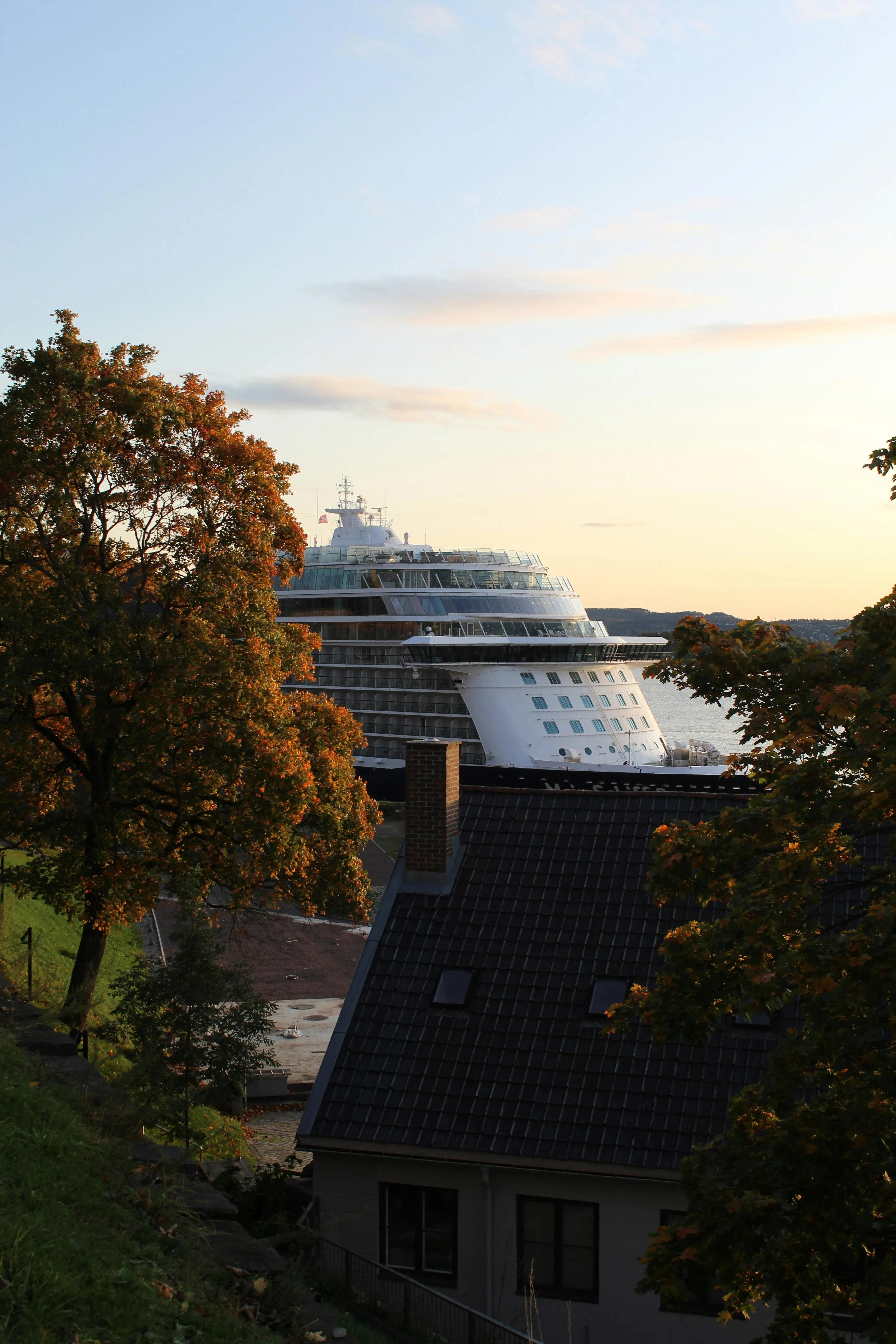 Blick auf ein Kreuzfahrtschiff an einem Fjord