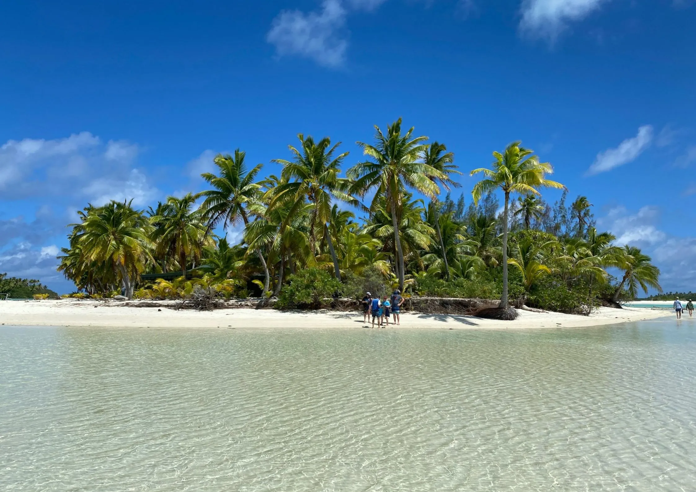 Kleine tropische Insel mit Palmen und weißem Sandstrand, umgeben von flachem, klarem Wasser unter blauem Himmel.