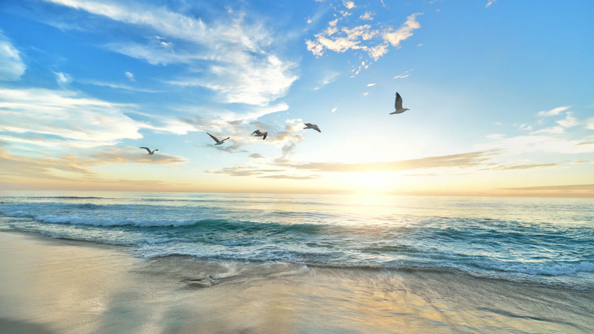 Meer mit sanften Wellen, darüber fliegt eine Gruppe Vögel vor einem hellen Himmel mit Wolken und Sonnenlicht am Horizont.