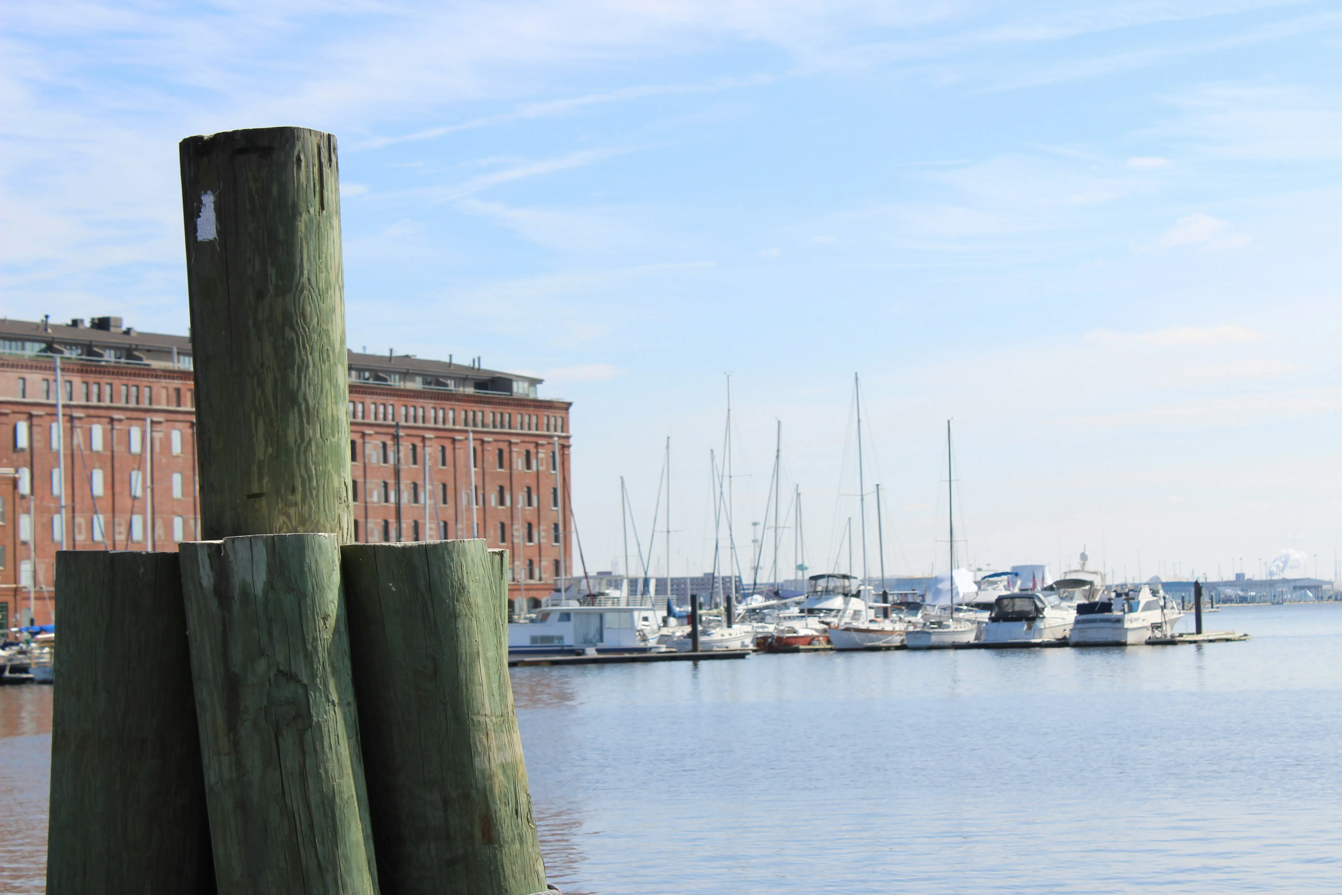 Mehrere dicke Holzpfähle im Wasser vor einem Hafen mit Segel- und Motorbooten sowie einem großen Backsteingebäude im Hintergrund.