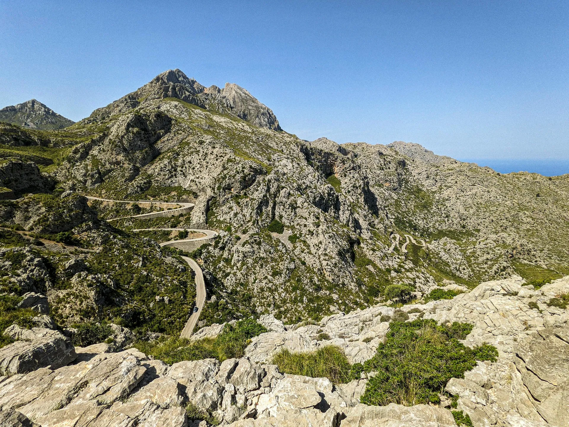 Ein einzelner Olivenbaum steht auf trockenem, gelblich-braunem Grasland unter klarem Himmel