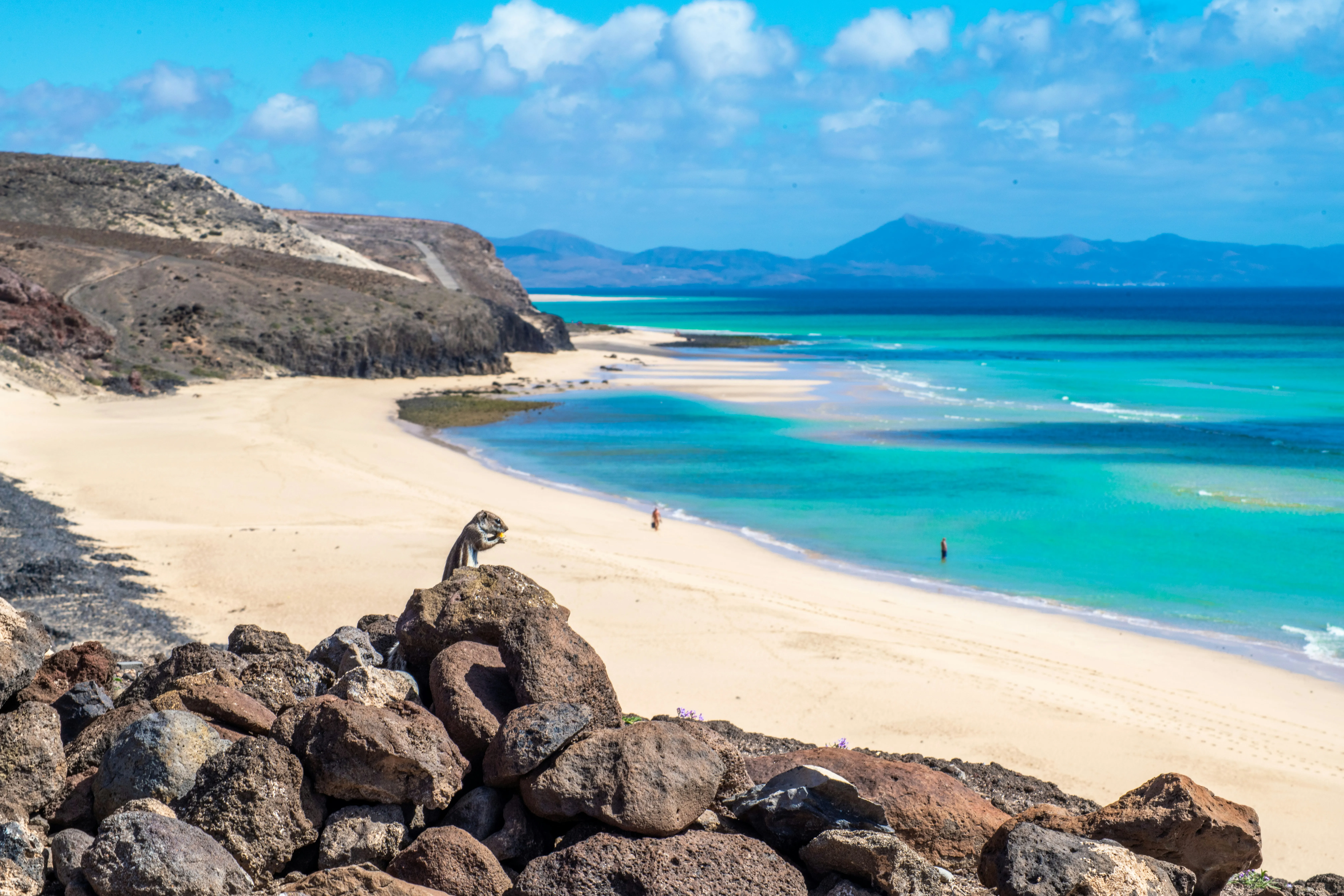 Weißer Standstrand auf Fuerteventura