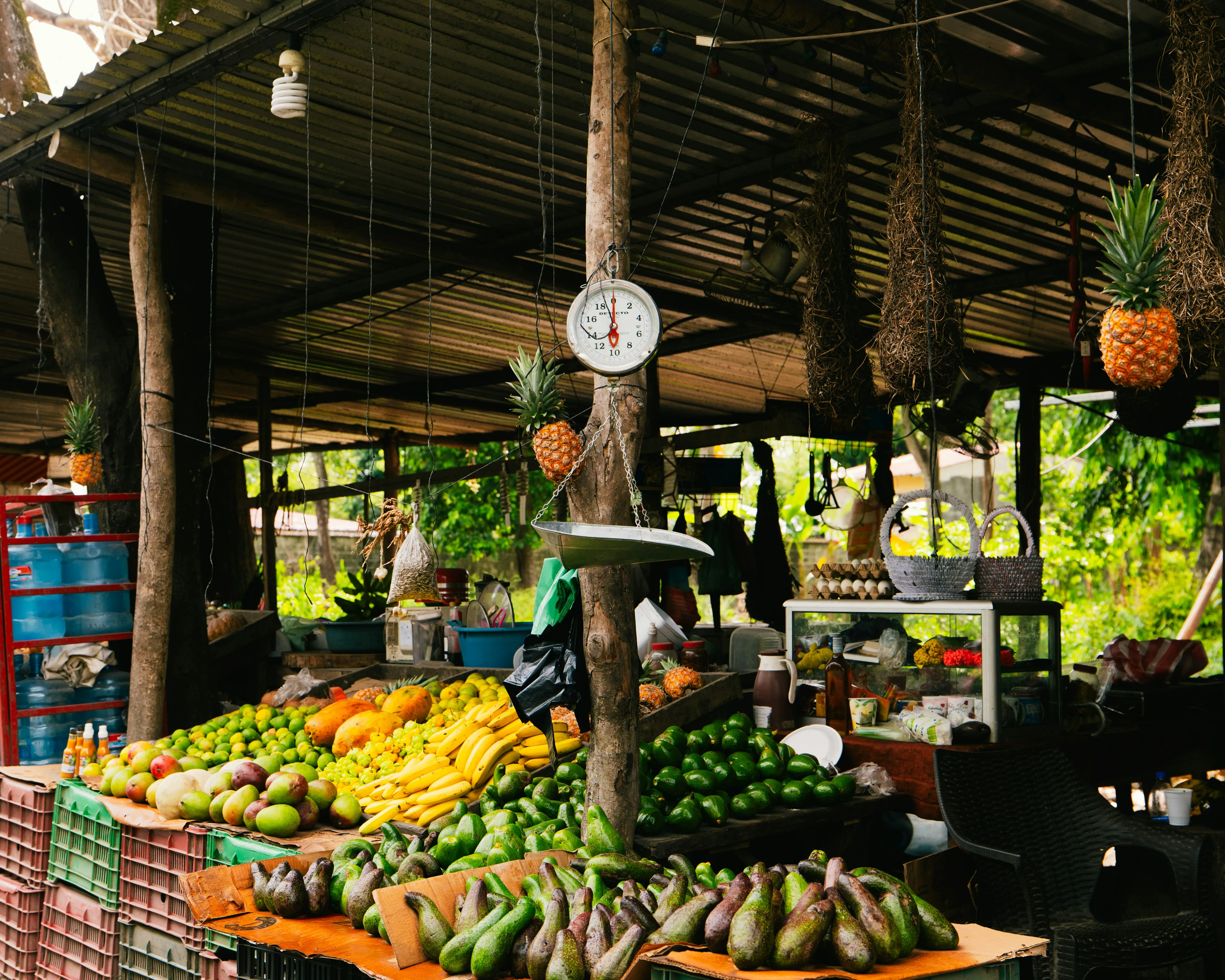 Marktstand unter einem Dach mit verschiedenen tropischen Früchten wie Bananen, Ananas, Avocados und Mangos auf Holztischen und in Kisten