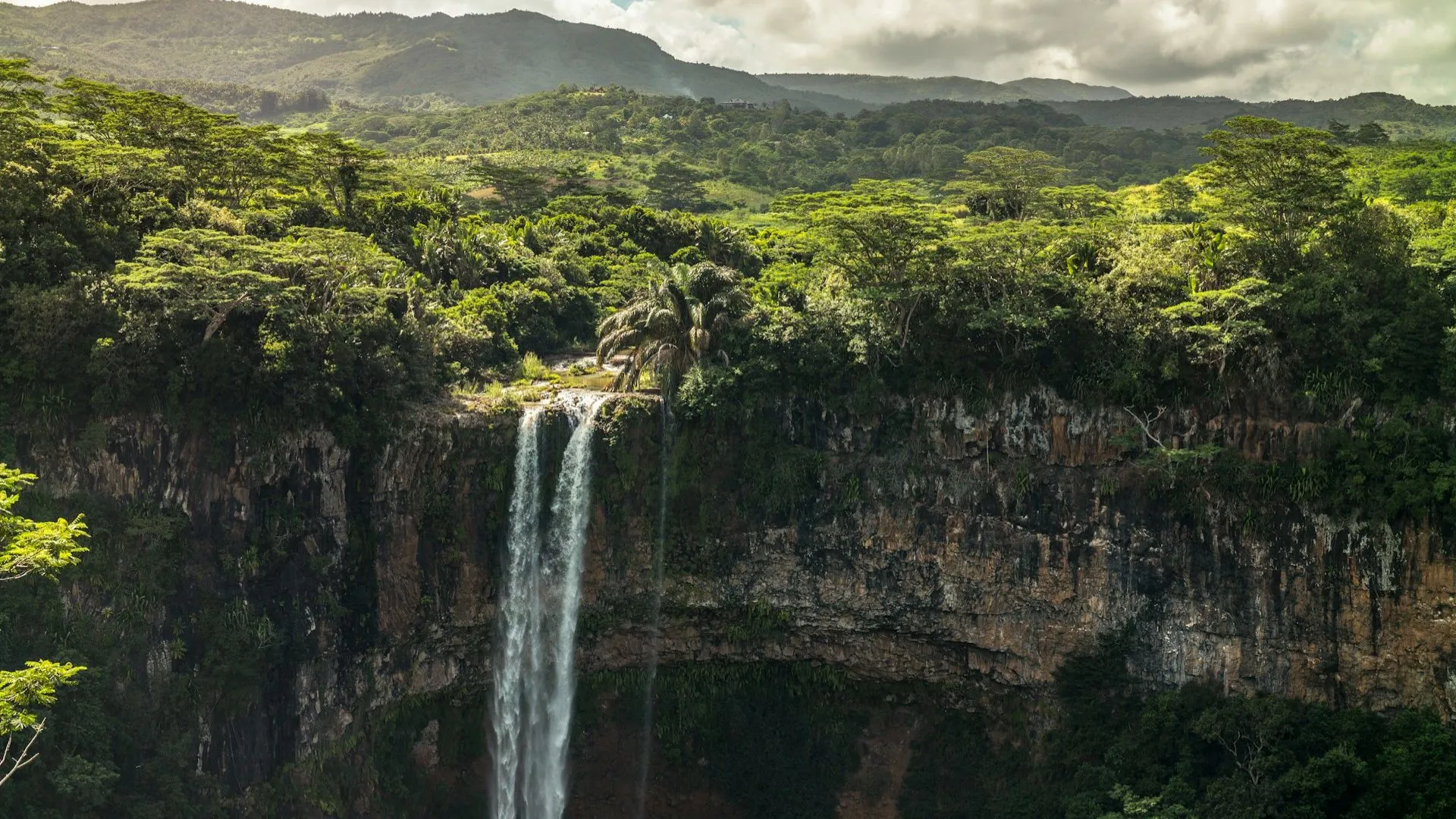 Wasserfall mit grünem Wald