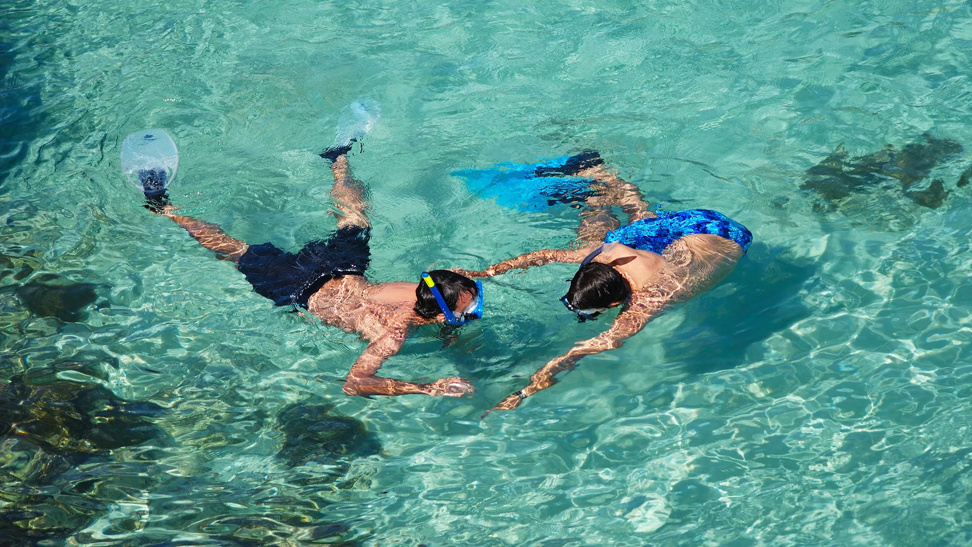 Schnorcheln & Tauchen Mallorca