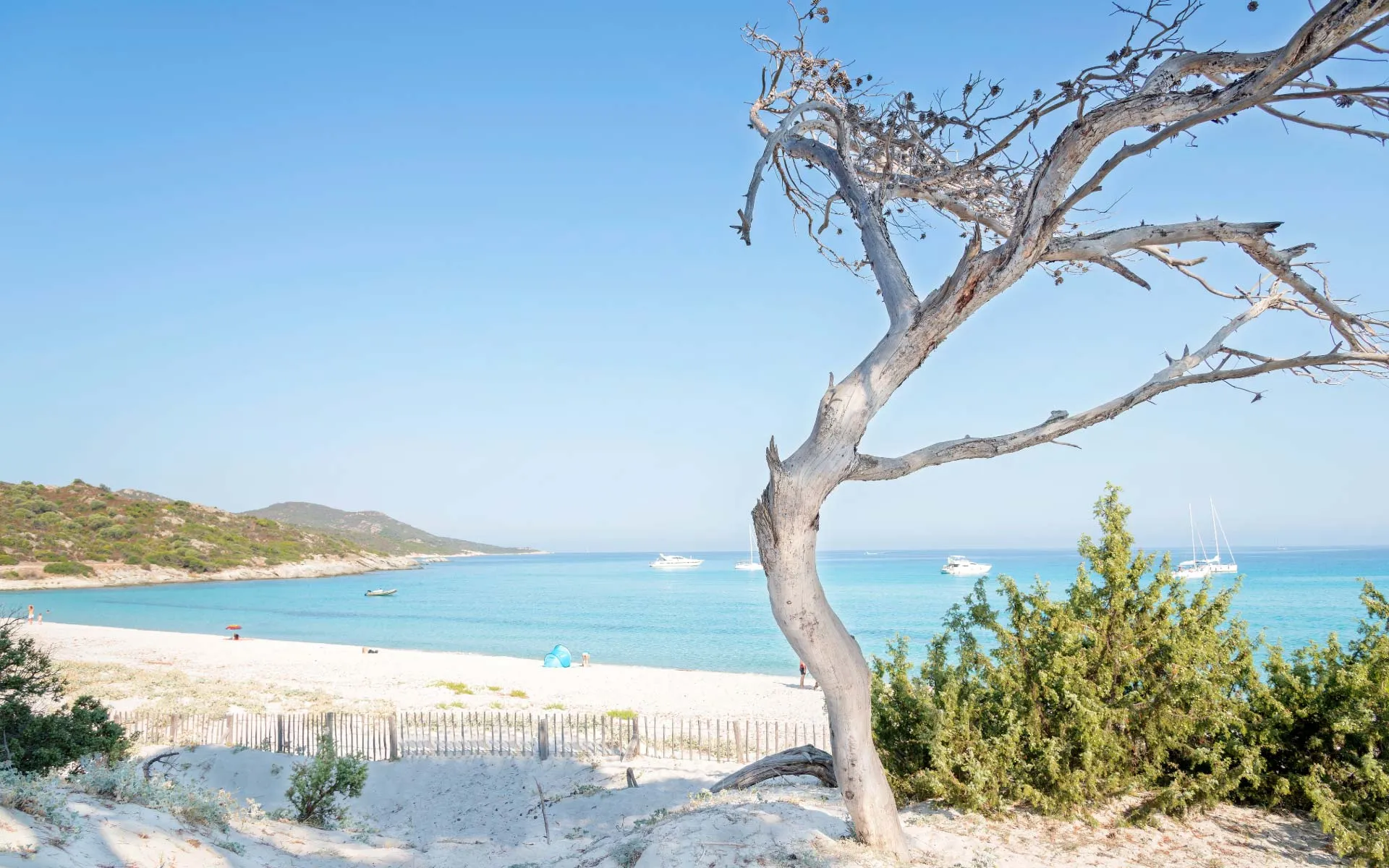 Plage de Saleccia, Korsika, Frankreich - 10 Top Strände in Europa
