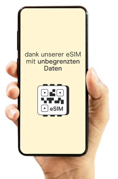 Holafly eSIM auf Handy